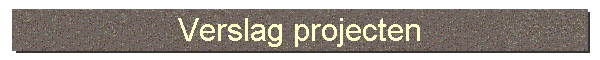 Verslag projecten