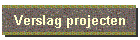 Verslag van project